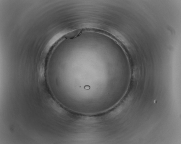 X0000115590877200911101236