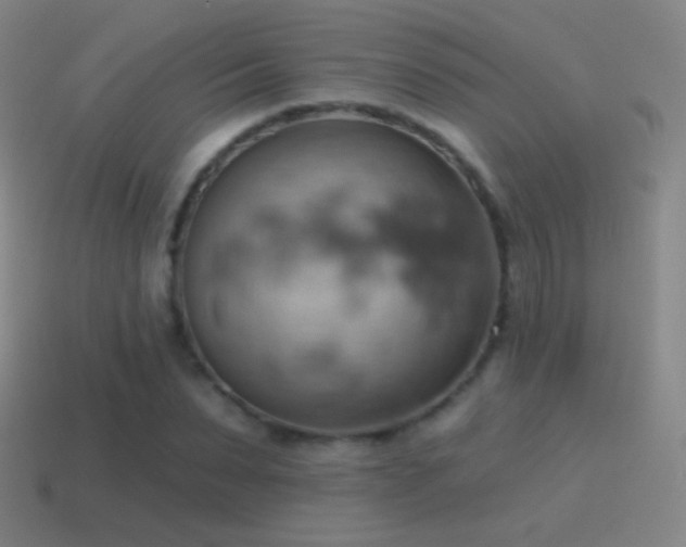 X0000115590879200911101236