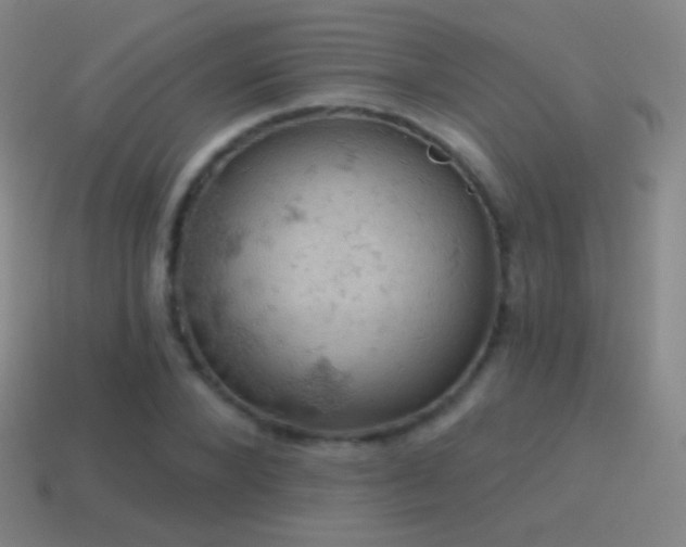 X0000115590880200911101236