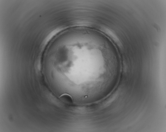 X0000115590883200911101236