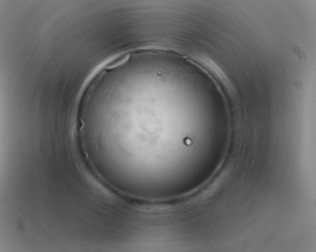 X0000115590884200911101236