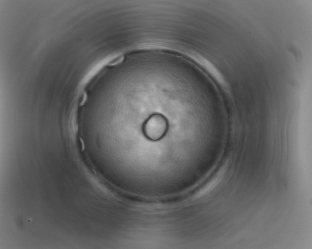 X0000115590885200911101236