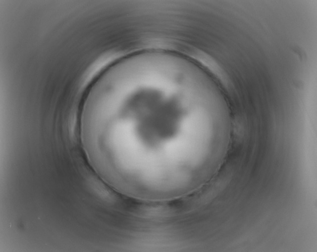 X0000115590886200911101236