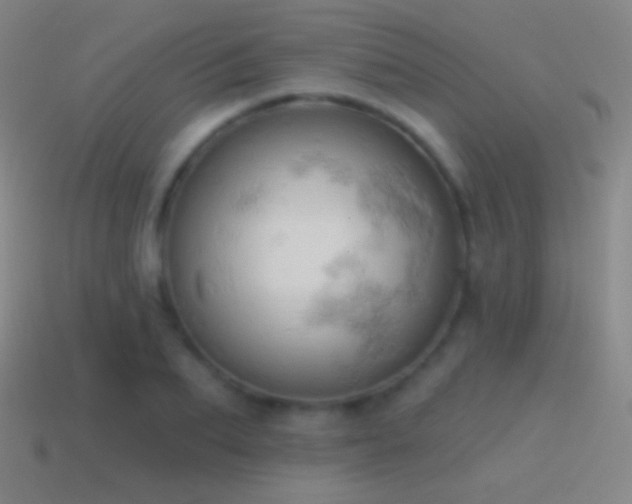 X0000115590887200911101236