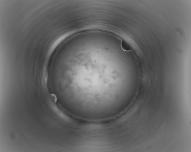 X0000115590888200911101236