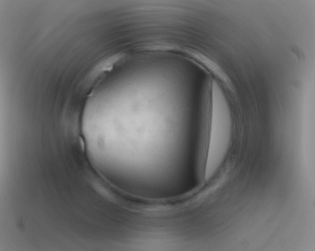 X0000115590889200911101236