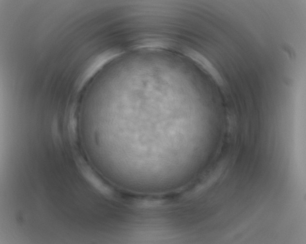 X0000115590890200911101236