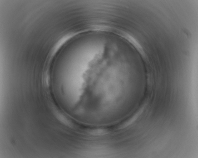 X0000115590891200911101236