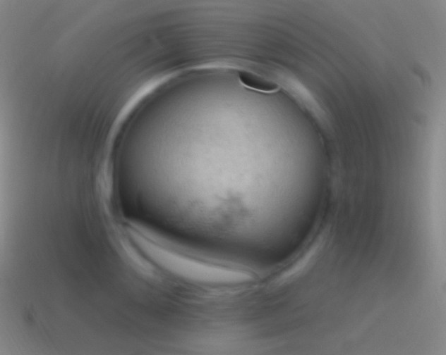 X0000115590892200911101236