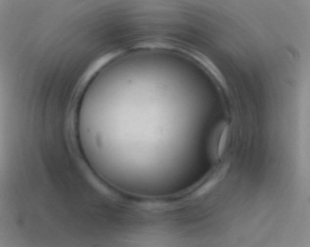 X0000115590893200911101236