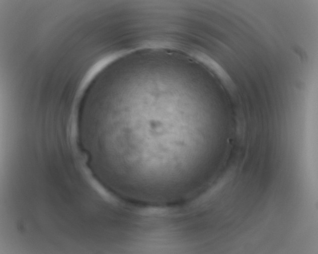 X0000115590894200911101236