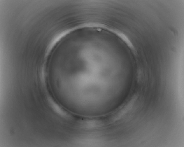 X0000115590895200911101236