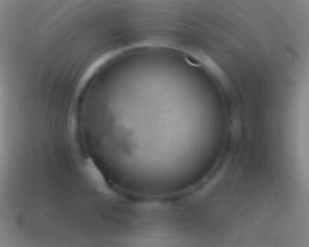 X0000115590896200911101236