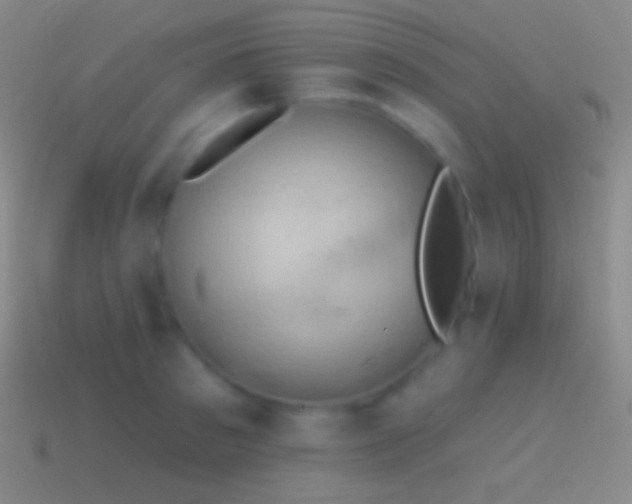 X0000115590897200911101236