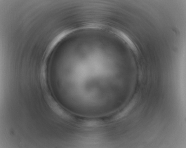 X0000115590899200911101236