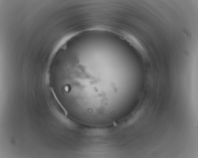 X0000115590900200911101236