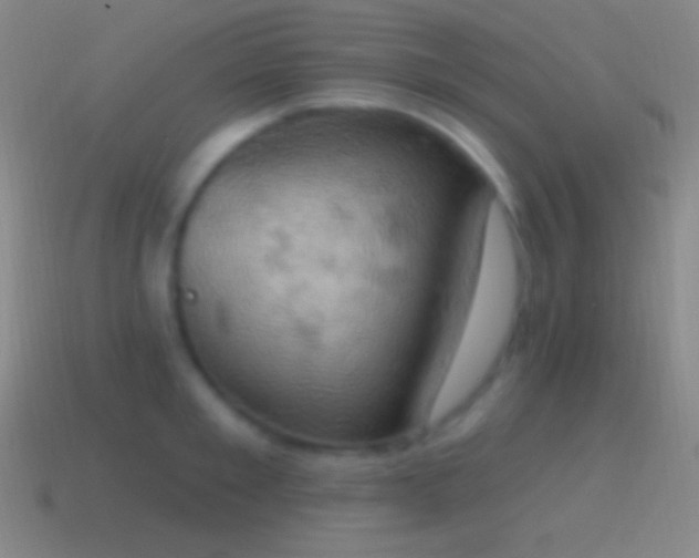 X0000115590901200911101236