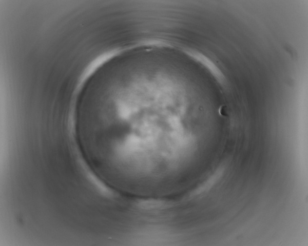 X0000115590902200911101236