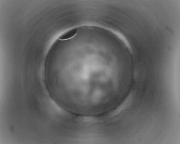 X0000115590903200911101236