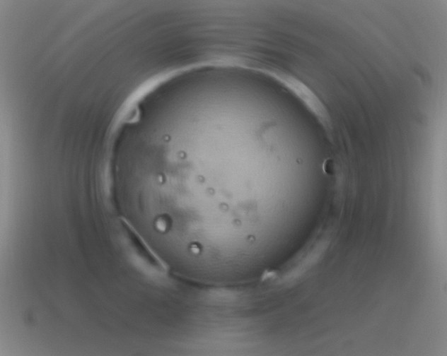 X0000115590904200911101236