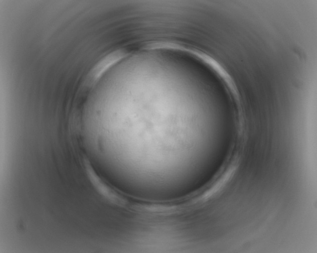 X0000115590905200911101236