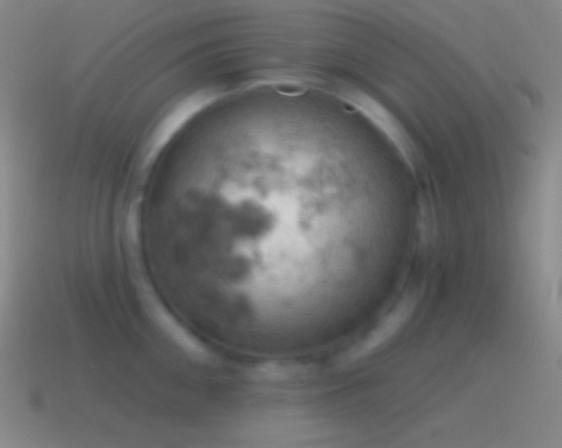 X0000115590906200911101236