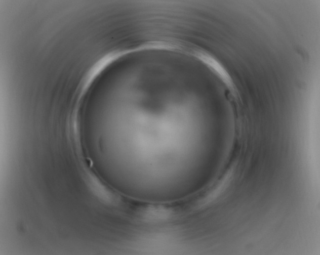 X0000115590907200911101236