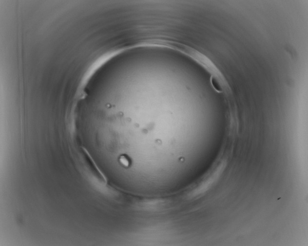 X0000115590908200911101236