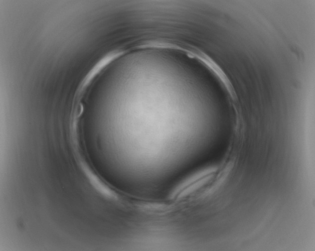 X0000115590909200911101236