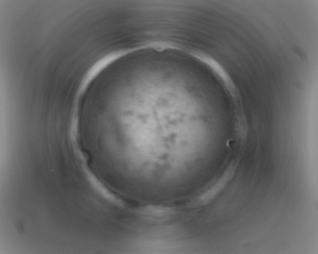 X0000115590910200911101236