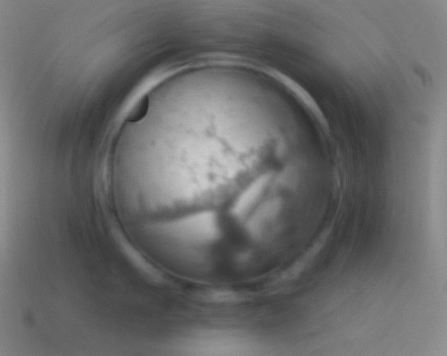 X0000115590911200911101236