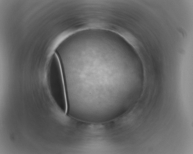 X0000115590912200911101236