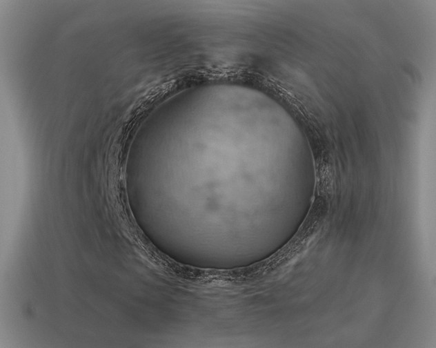 X0000115590913200911101235