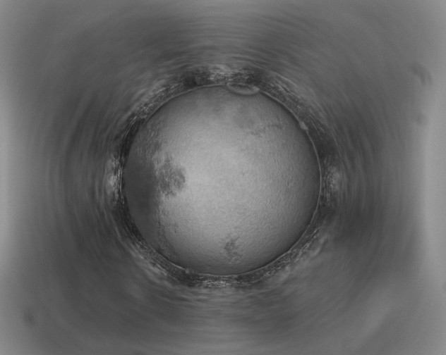 X0000115590914200911101235