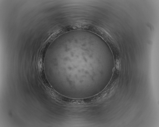 X0000115590915200911101235