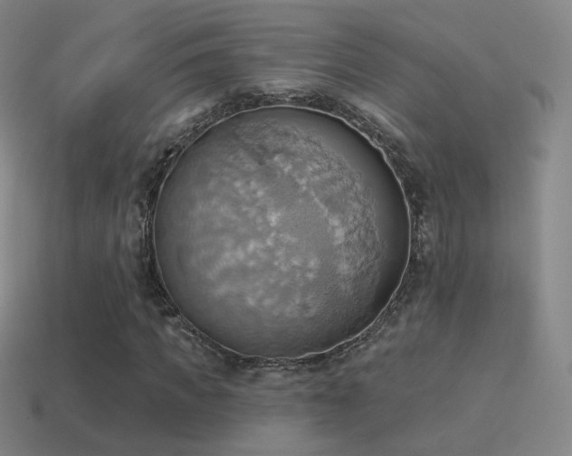 X0000115590917200911101235