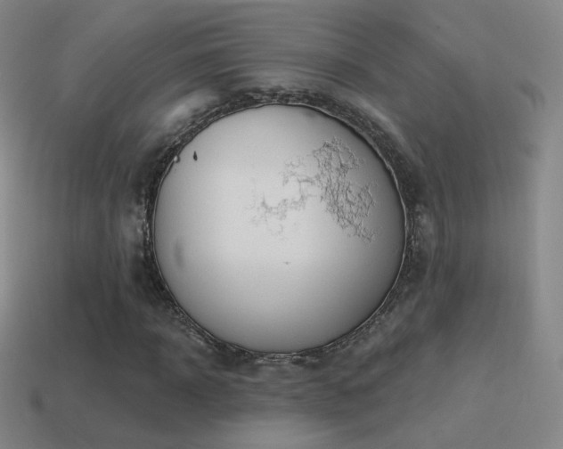 X0000115590918200911101235