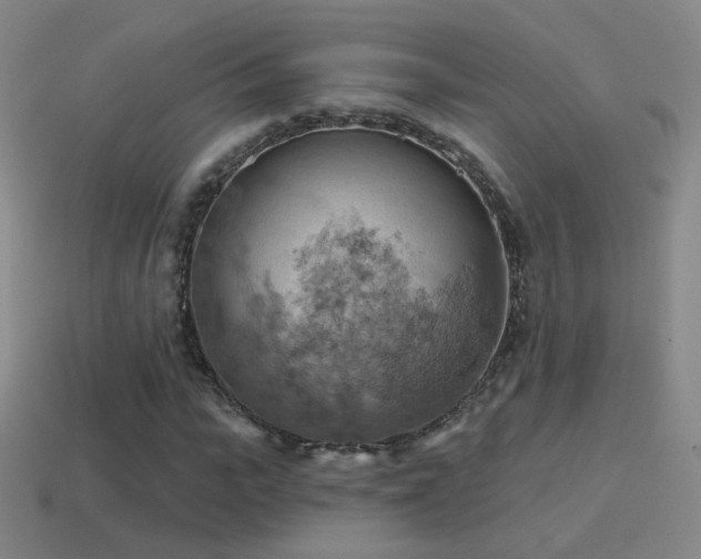 X0000115590919200911101235