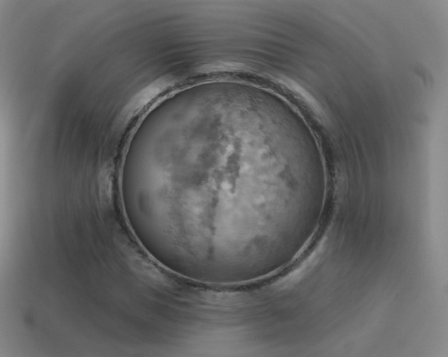 X0000115590921200911101235