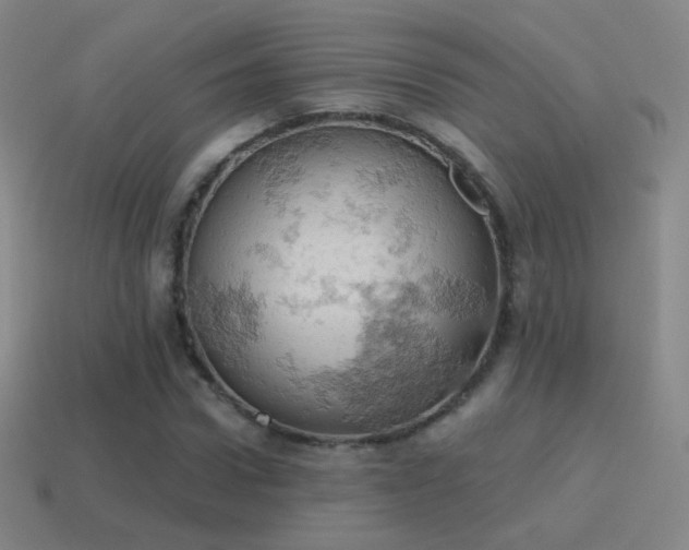 X0000115590922200911101235