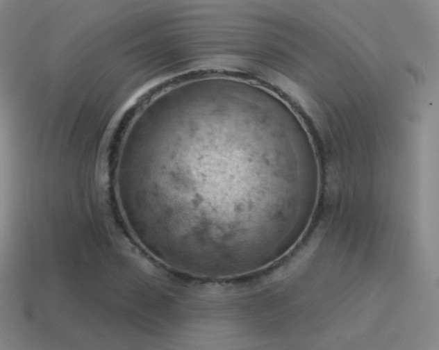 X0000115590923200911101235