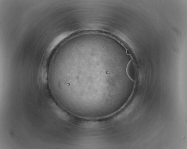 X0000115590925200911101235