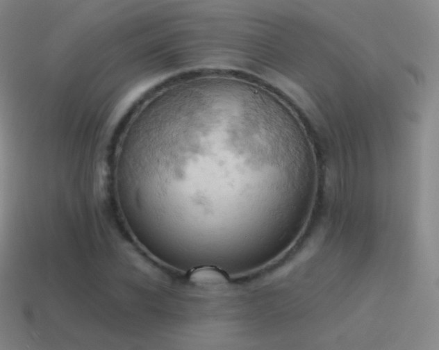 X0000115590926200911101235