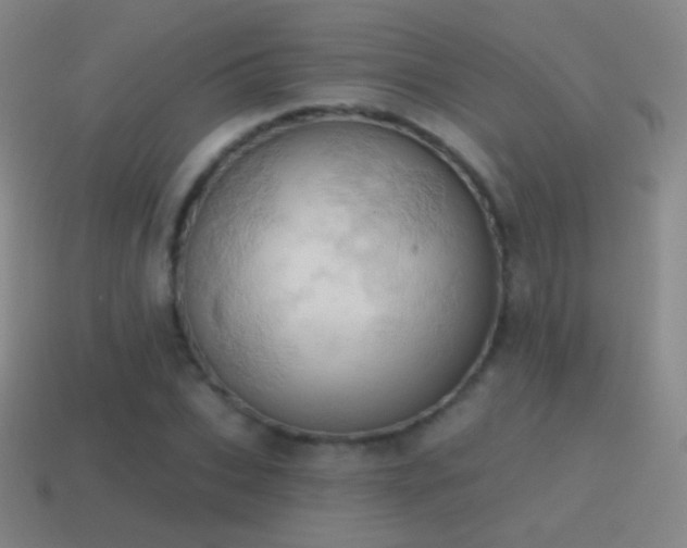 X0000115590927200911101235