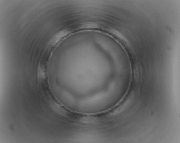 X0000115590929200911101235