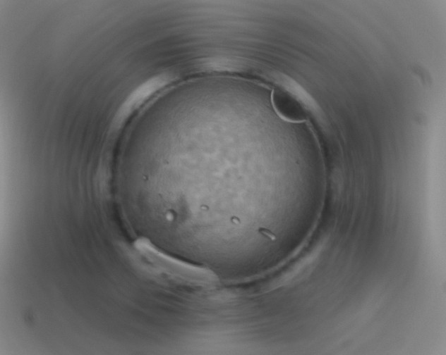 X0000115590930200911101235