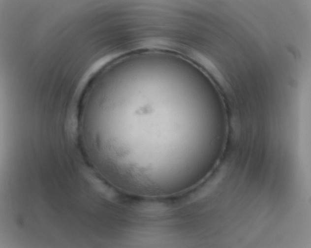 X0000115590931200911101235