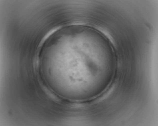 X0000115590933200911101235