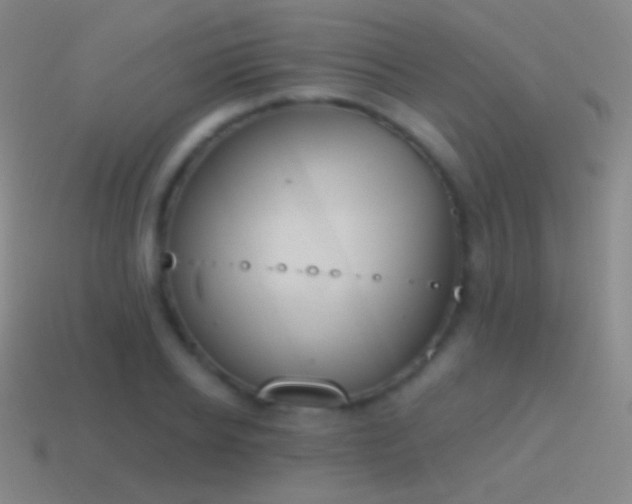 X0000115590934200911101235