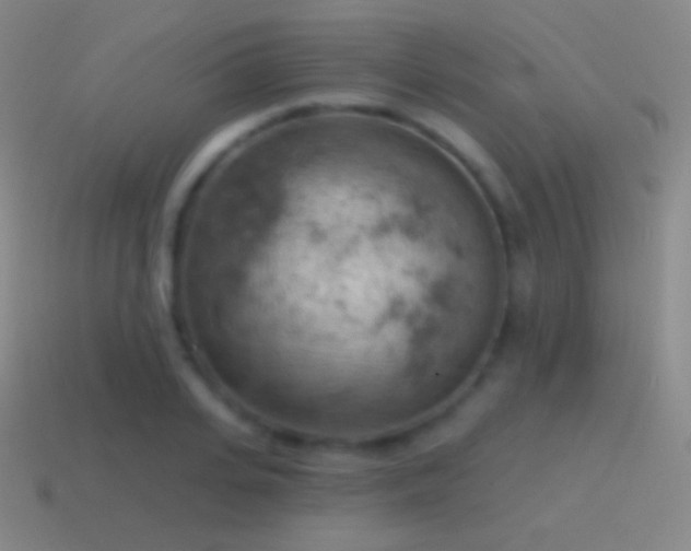 X0000115590935200911101235